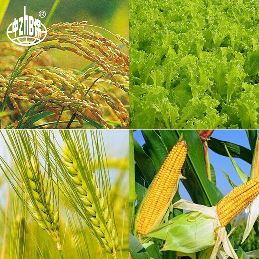 YD-120 Yunda 120 brassinolide 0.004 growth regulator 100ml