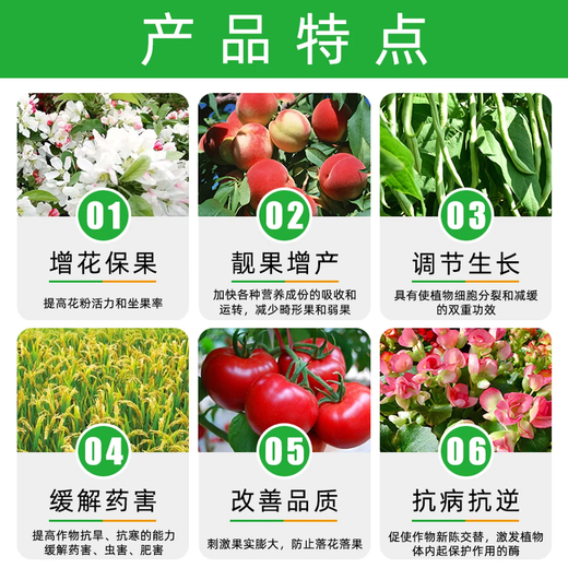 28-Extra high brassinolide fruit tree growth regulator to promote flowering, protect fruit and strengthen seedlings, antidote foliar fertilizers for pesticide damage 500g