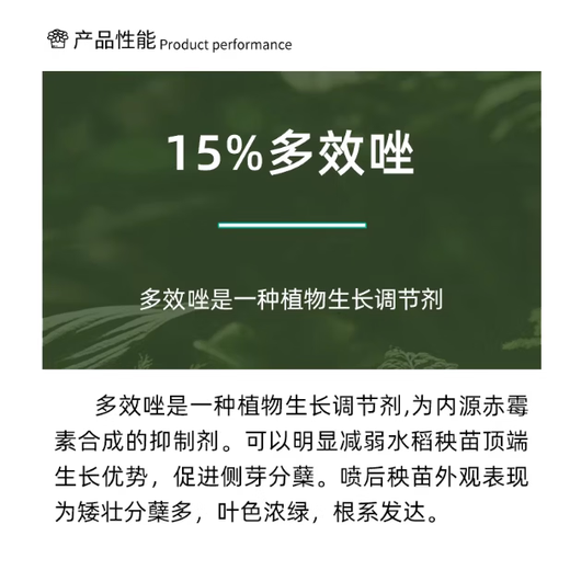 Guoguang 15% paclobutrazol fruit tree plant flower succulent dwarfing agent chlormequat control growth growth regulator 200g
