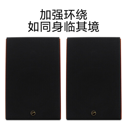 HiVi RM600A HT+Dianlong X1300 AV amplifier 5.0 channel home theater combination set Home amplifier speaker audio combination Free installation nationwide