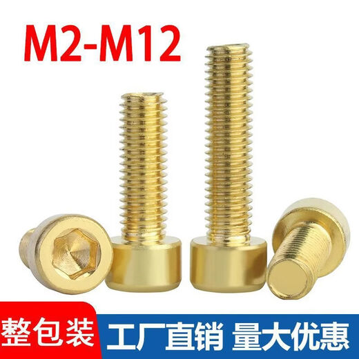Sailoto copper hexagonal screw cylindrical head hexagonal bolt copper cup head extension screw M3M4M5M6M8M10M12 M21000 length 4mm