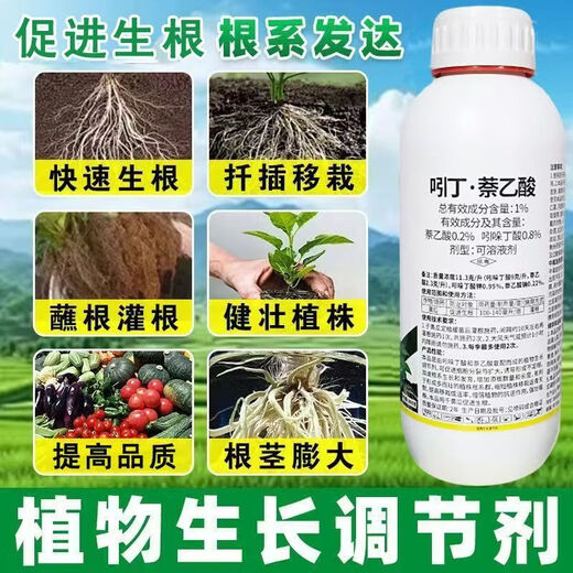 Indonaphthalene acetic acid plant growth regulator naphthalene acetic acid indolebutyric acid cutting transplantation promoting rooting pesticide 2 bottles*1000g/promoting rooting