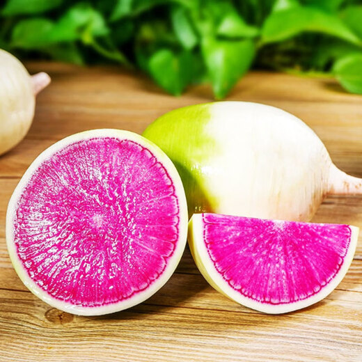 Jingdida Weifang Xinmei Fruit Radish net weight 5Jin Jin is equal to 0.5kg, single fruit 100g+, straight from the source