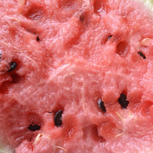 Zhongke Maohua melon and fruit seeds 16 degrees rock sugar Kirin watermelon seeds 8424 Hainan Kirin melon melts in the mouth thin skin Jingxin 16 degrees rock sugar Kirin 5g/bag