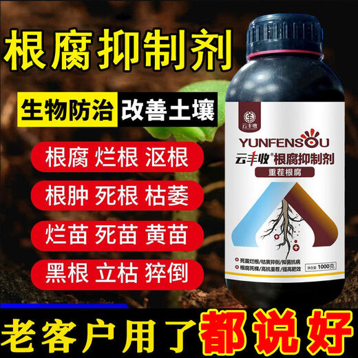 Root rot agent, anti-heavy crop root rot damping off, leaf rot, root root activation, soil manufacturer direct sale 10006 bottles + measuring cup + agricultural supplies guidance
