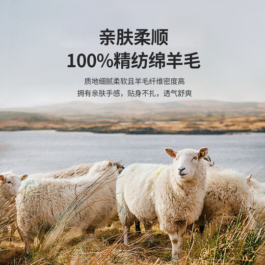 Loz 100% worsted sheep wool 2026 new summer short-sleeved wool T-shirt skin-friendly and soft casual sweater