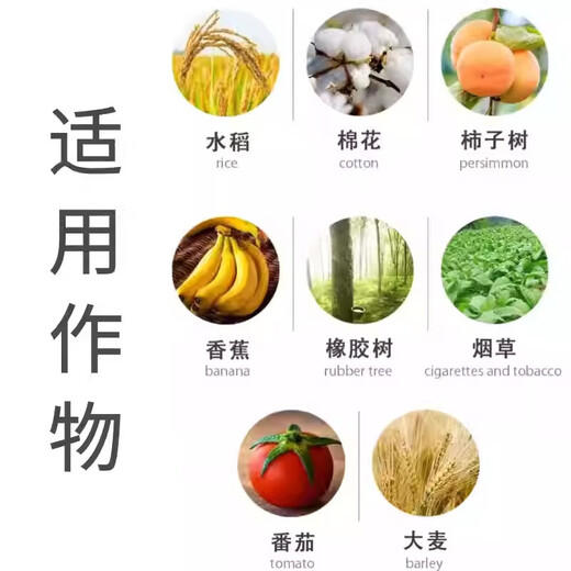 40% ethephon rubber tree rice mango banana fruit ripening agent genuine pesticide plant growth regulator 500g