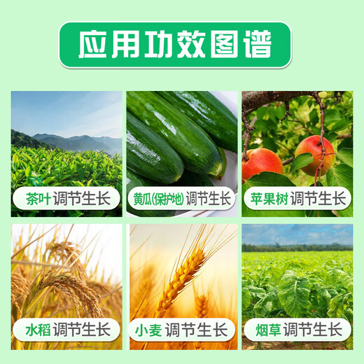 Bihu German Gibberellic Acid Indoethyl Brassinolate Preserves Flowers and Fruits and Antidotes Drug-Injured Plant Growth Regulator 1g