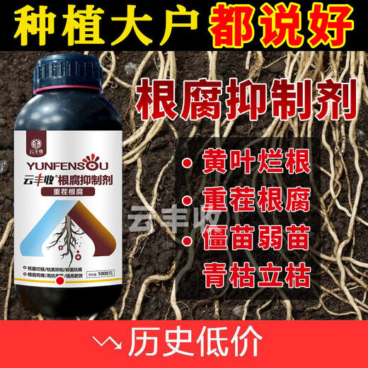 Root rot agent, anti-heavy crop root rot damping off, leaf rot, root root activation, soil manufacturer direct sale 10006 bottles + measuring cup + agricultural supplies guidance
