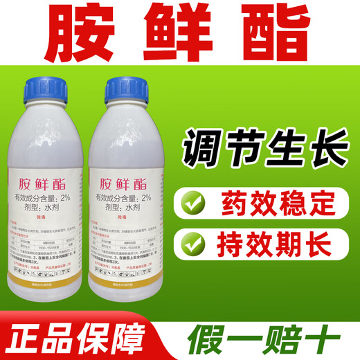 Jianwufeng 2% ammonium ester growth regulator tomato growth regulation ammonium ester ammonium ester regulator pesticide genuine 1000g*12 bottles whole box discount save 20 yuan