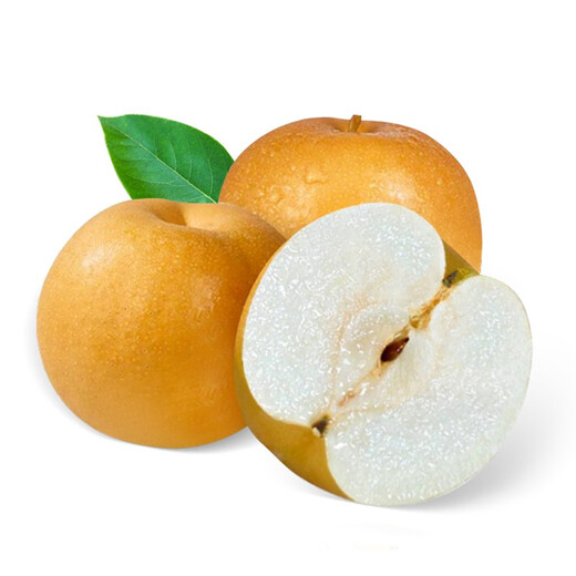 Jingxiansheng Qingqing Dadi Laiyang Mutton Fat Qiuyue Pear, net weight 4.5 Jin Jin equals 0.5 kg, 6-8 pieces, fresh fruit, gift box