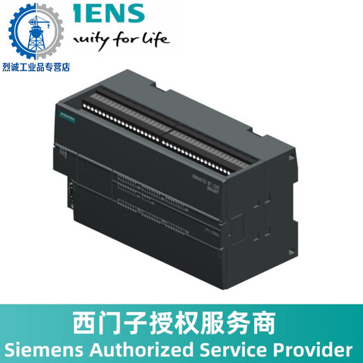 SR20 CPU module 6ES7288-1SR20-0AA1 relay 12 input/8 output 110 DC 10 10DC