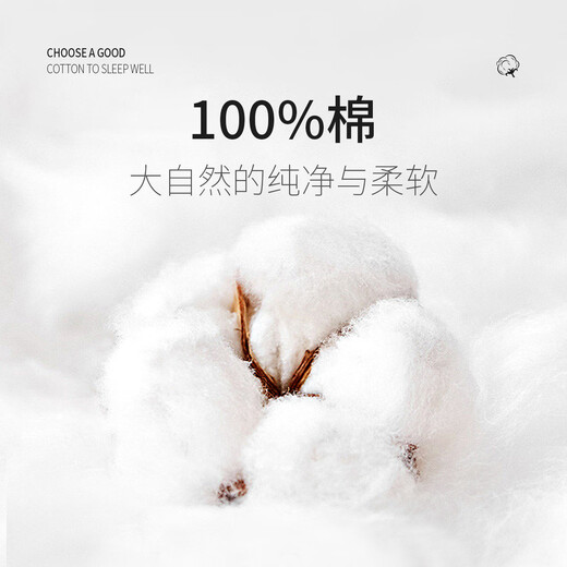 Shanshan (FIRS) ready-to-wear, no-iron, pure cotton long-sleeved shirt for men, machine washable, lightweight, breathable, business casual shirt