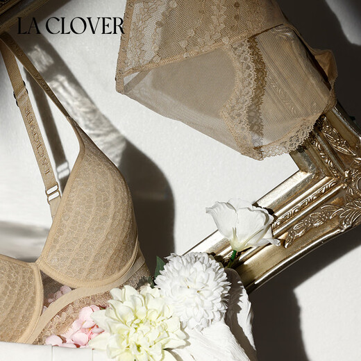 LA CLOVER25AW Reverie Simple Transparent Mesh Underwear Women's Bra Set LC2025141 Camel-Transparent Wire Thin Bra 80B L 170