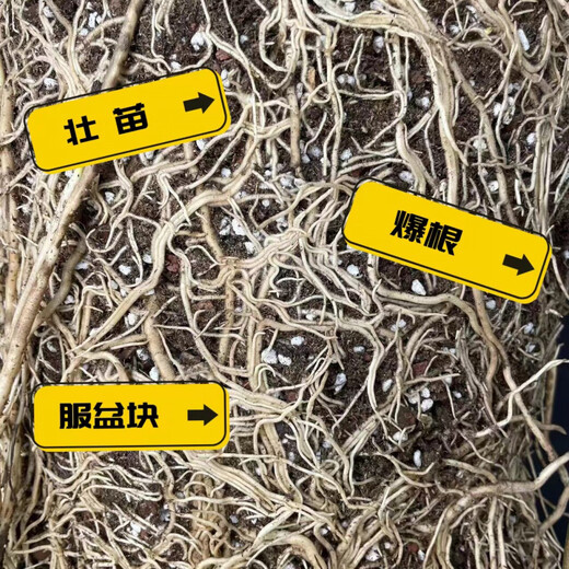 Питательный грунт, живой грунт, торфяной грунт рецептурного типа, универсальный питательный грунт, садовый питательный грунт, грунт для цветов и овощей, вариант с перлитом 1,0, два мешка грунта (5 цзинь цзинь в мешке равны 0,5 килограмма)