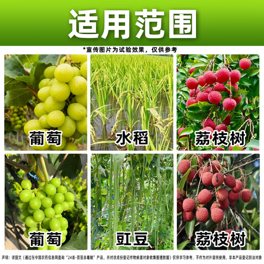 Phytosin 24-Epiycin Gibberellic Acid Epibrassinolide Lipid Gibberellin Plant Growth Regulator Genuine Pesticide 500g*5 Bottles The Choice of Most People