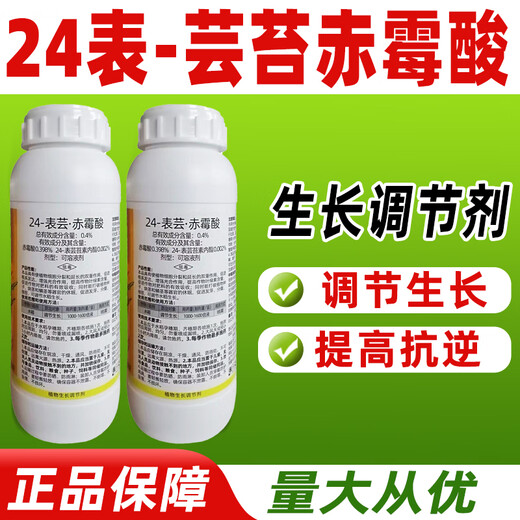 Phytosin 24-Epiycin Gibberellic Acid Epibrassinolide Lipid Gibberellin Plant Growth Regulator Genuine Pesticide 500g*5 Bottles The Choice of Most People