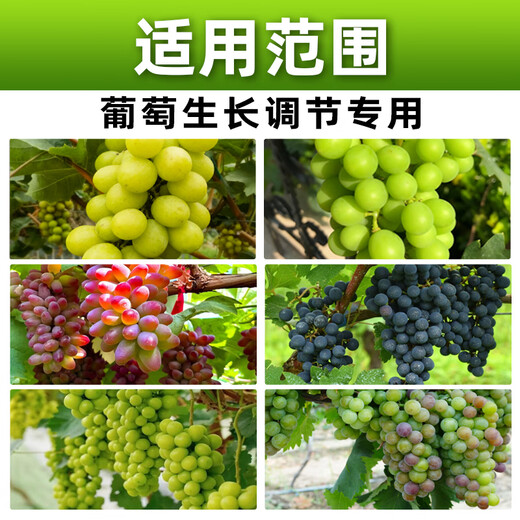 Barometer 10% S-Inducible Soluble Grape Promotes Coloration 50g*1 Bottle Best Selling in Stores