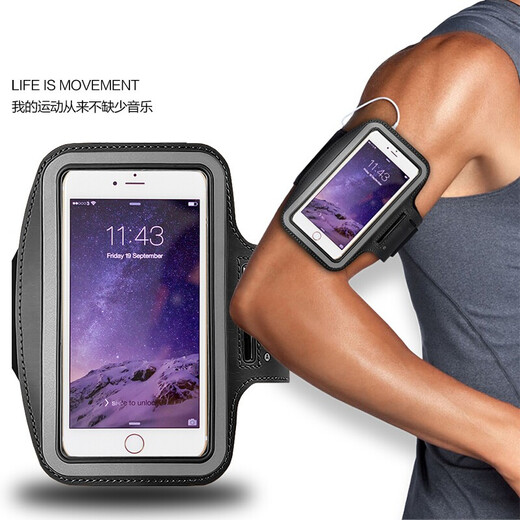 Daiwei running sports mobile phone arm bag wrist bag mobile phone bag arm strap waterproof arm bag arm cover shell outdoor fitness cycling men and women suitable for Apple iPhone11/11pro/11promax within 6.9 inches