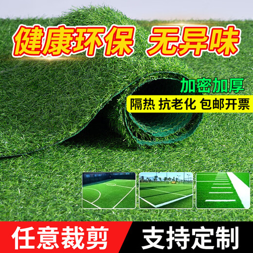 Renowned in Jiuzhou, simulated lawn carpet, fake turf bedding, plastic outdoor artificial court, artificial fence, kindergarten floor mat, 2 meters wide * 2 meters long, 2.0 grass height