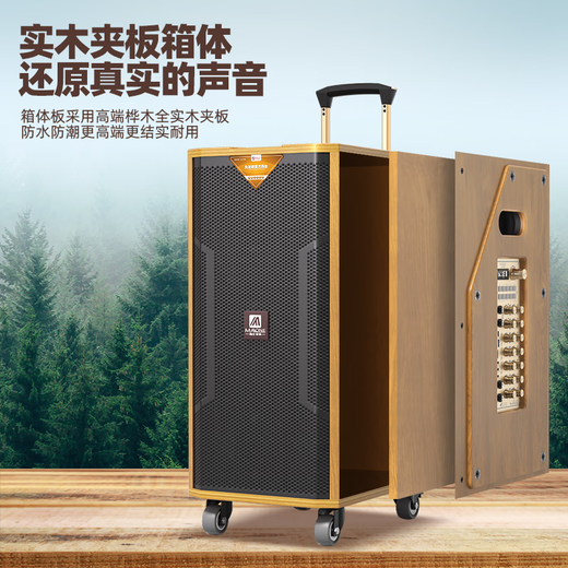 MALONE high-end indoor and outdoor high-power square dance audio OTG live karaoke lithium battery portable trolley audio subwoofer with sound card DSP wireless microphone Bluetooth speaker M-8810 audio + dual microphones + gift package