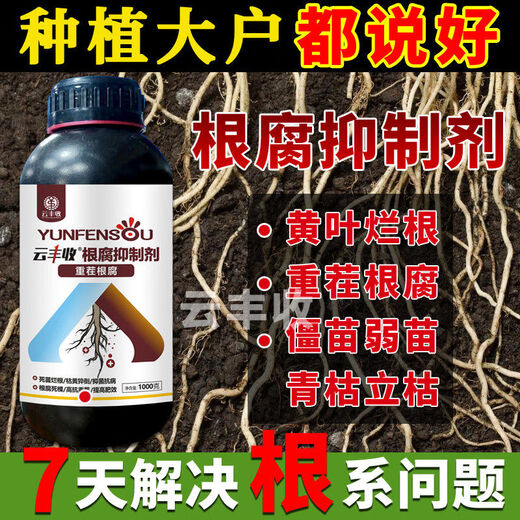 Root rot agent, anti-heavy crop root rot damping off, leaf rot, root root activation, soil manufacturer direct sale 10006 bottles + measuring cup + agricultural supplies guidance