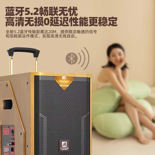 MALONE high-end indoor and outdoor high-power square dance audio OTG live karaoke lithium battery portable trolley audio subwoofer with sound card DSP wireless microphone Bluetooth speaker M-8810 audio + dual microphones + gift package