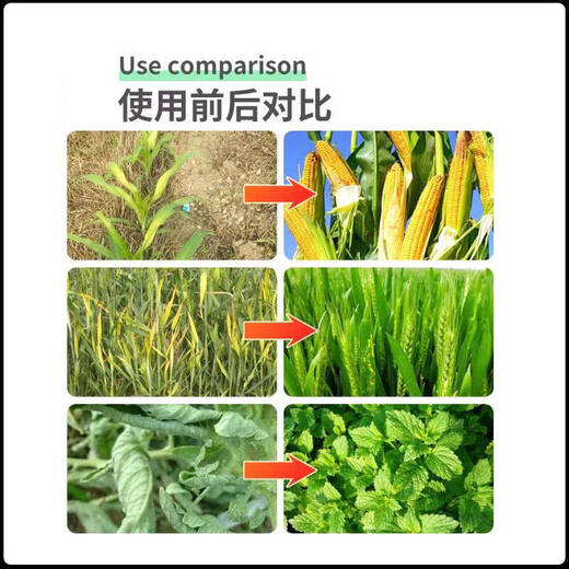 Kevohua upgraded version of root rot agent damping off rotten root base, weak seedlings taking root, activated soil to prevent soil-borne diseases, root rot agent 1000g, 2 bottles