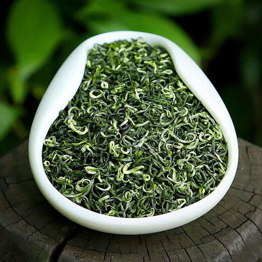 Ganxiangpo new tea, high mountain cloud and mist green tea, spring tea before the rain, strong fragrance, resistant to soaking and sufficient sunshine, Maojian green tea leaves 125g, 500g, 250g bag