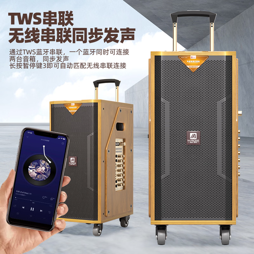 MALONE high-end indoor and outdoor high-power square dance audio OTG live karaoke lithium battery portable trolley audio subwoofer with sound card DSP wireless microphone Bluetooth speaker M-8810 audio + dual microphones + gift package