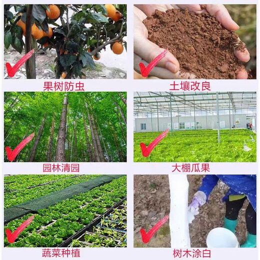 Toothless fruit raspberry special improvement soil pH shed fumigation disinfection garden flooding 2Jin Jin equal to 0.5kg packed