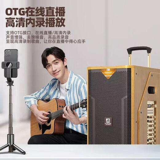 MALONE high-end indoor and outdoor high-power square dance audio OTG live karaoke lithium battery portable trolley audio subwoofer with sound card DSP wireless microphone Bluetooth speaker M-8810 audio + dual microphones + gift package