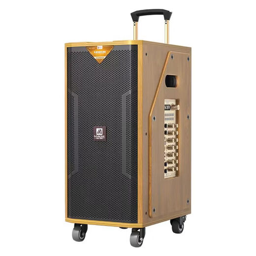 MALONE high-end indoor and outdoor high-power square dance audio OTG live karaoke lithium battery portable trolley audio subwoofer with sound card DSP wireless microphone Bluetooth speaker M-8810 audio + dual microphones + gift package