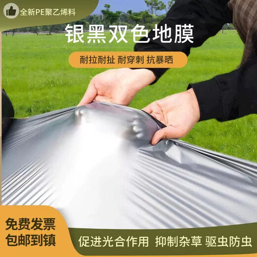Gefuya Silver and Black Two-color Mulch Film Agricultural Black Film Reflective Insect Repellent and Weed Control Orchard Agricultural Planting Special Porous Mulch 20Jin Jin equals 0.5kg Silver and Black 2s 2 meters wide and 210 meters long for field use and tramplable style