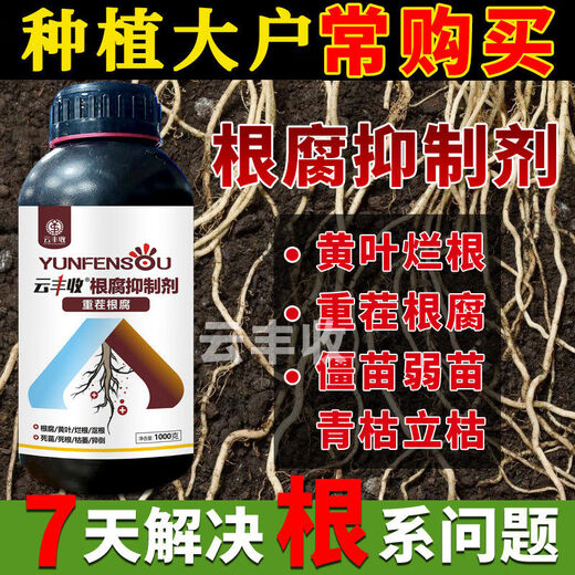 Yunfeng harvest root rot agent, root rot, leaf rot, rhizome base rot, dead tree rooting and activated soil, factory direct sale, 2 bottles with measuring cup to support trial