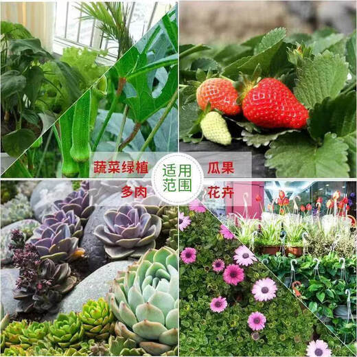 Jieyunmao universal succulent green radish vegetable planting nutritious organic soil 5Jin Jin is equal to 0.5kg balcony vegetable soil trial