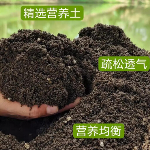 General nutrient soil from Jiangsu, Zhejiang, Shanghai and Anhui, big bag 40Jin, equal to 0.5kg, packed household nutrient soil 30Jin, equal to 0.5kg, flower potting soil, 100Jin, equal to 0.5kg, selected nutrient soil, dedicated for growing vegetables