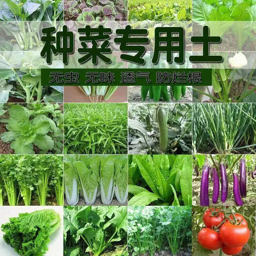 Jieyunmao universal succulent green radish vegetable planting nutritious organic soil 5Jin Jin is equal to 0.5kg balcony vegetable soil trial