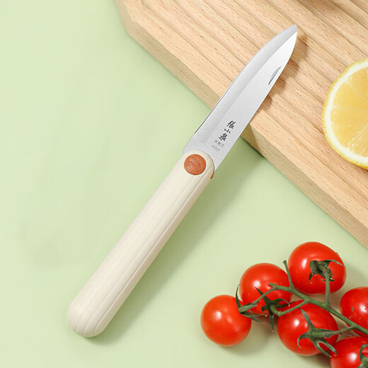 Zhang Xiaoquan Kitchen Stainless Steel Portable Fruit Knife Household Peeling Knife Melon and Fruit Knife Knife with Knife Cover Foldable