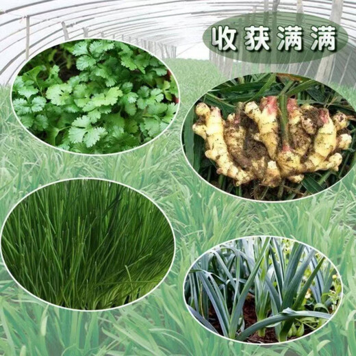 Jieyunmao universal succulent green radish vegetable planting nutritious organic soil 5Jin Jin is equal to 0.5kg balcony vegetable soil trial