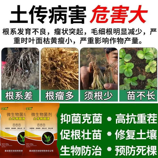 Receive and transport cat peanuts for heavy cropping, fertilizer, root rot and net nemesis, resist heavy cropping disease, prevent soil-borne dead seedlings, improve soil disinfection and conditioner, soil disinfection 10 bags, increase production and income