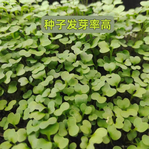 General nutrient soil from Jiangsu, Zhejiang, Shanghai and Anhui, big bag 40Jin, equal to 0.5kg, packed household nutrient soil 30Jin, equal to 0.5kg, flower potting soil, 100Jin, equal to 0.5kg, selected nutrient soil, dedicated for growing vegetables