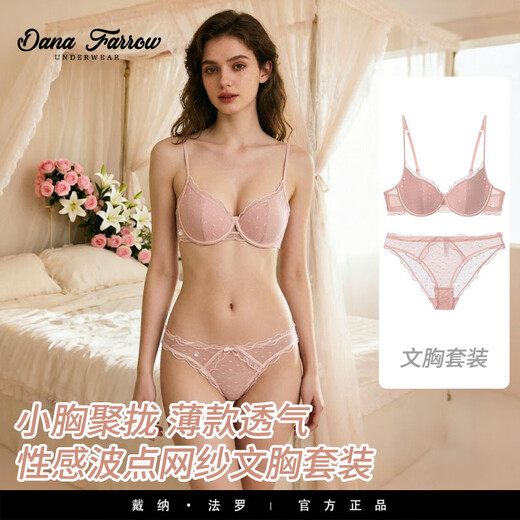 DANA FARROW brand 2026 new French style underwear women's push-up thin breathable sexy pure desire polka dot mesh bra set black suit 70B