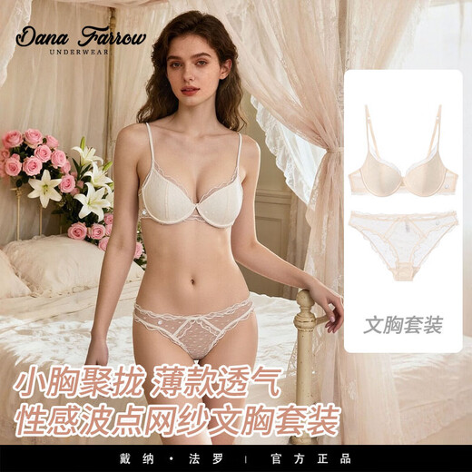 DANA FARROW brand 2026 new French style underwear women's push-up thin breathable sexy pure desire polka dot mesh bra set black suit 70B