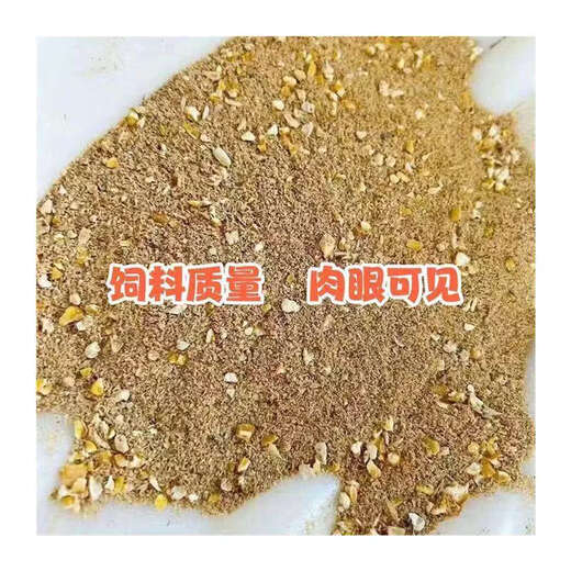 Cat delivery cat factory direct sales 100Jin Jin is equal to 0.5kg High protein chicken, duck and goose feed corn wheat bran fattening and egg laying feed (one day) 50Jin Jin is equal to 0.5kg (active)