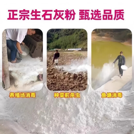 Jingxi Special quicklime powder for vegetables. Soil pest control in vegetable fields to improve soil height. Quicklime powder. After spreading quicklime powder without insects, 3 Jin Jin is equal to 0.5 kilograms.