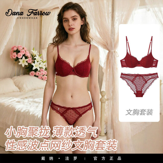 DANA FARROW brand 2026 new French style underwear women's push-up thin breathable sexy pure desire polka dot mesh bra set black suit 70B