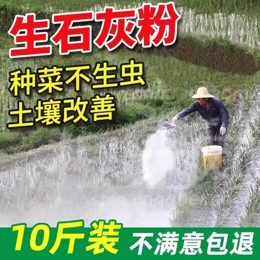 Jingxi Special quicklime powder for vegetables. Soil pest control in vegetable fields to improve soil height. Quicklime powder. After spreading quicklime powder without insects, 3 Jin Jin is equal to 0.5 kilograms.