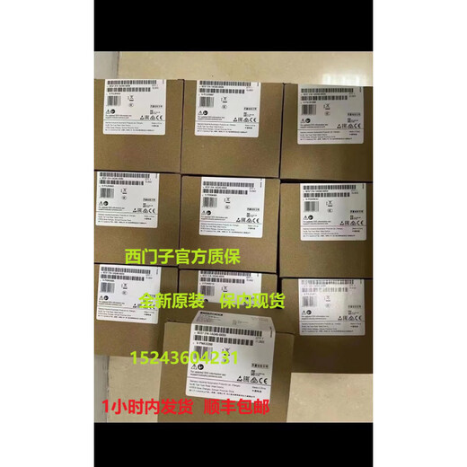 6ES7 214/6ES7214/6ES7215-1AG40/1BG40/1HG40-0XB0 original 6ES7214-1BG40-0XB0