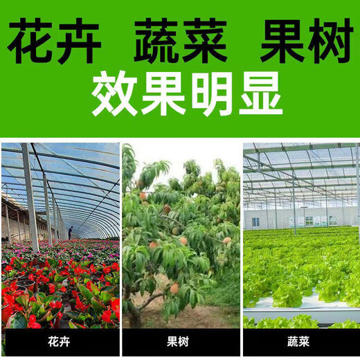 Special fruit raspberry improvement soil pH shed fumigation disinfection garden flooding 50